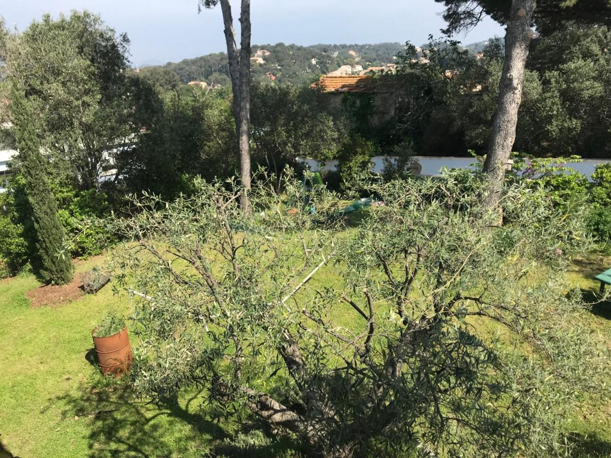 La Pauseto Villa La Seyne-sur-Mer Kültér fotó