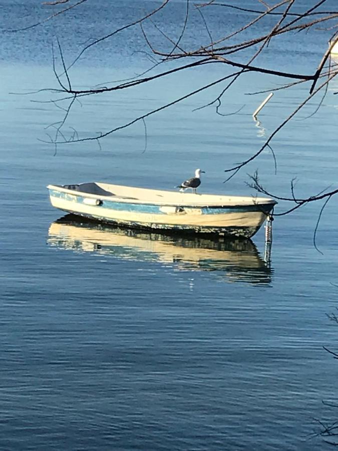 La Pauseto Villa La Seyne-sur-Mer Kültér fotó